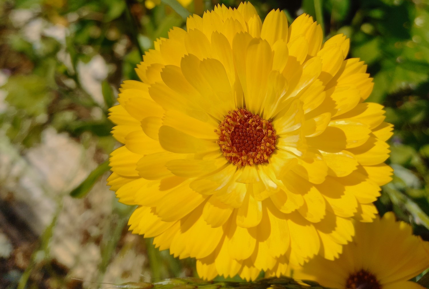 Colour | Personality | Yellow