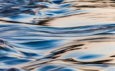 Finding Your Flow: The Psychology of Optimal Experience