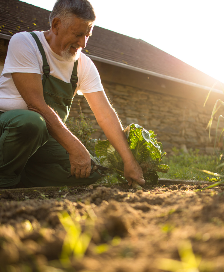Finding your flow through a favourite hobby - man enjoying time gardening